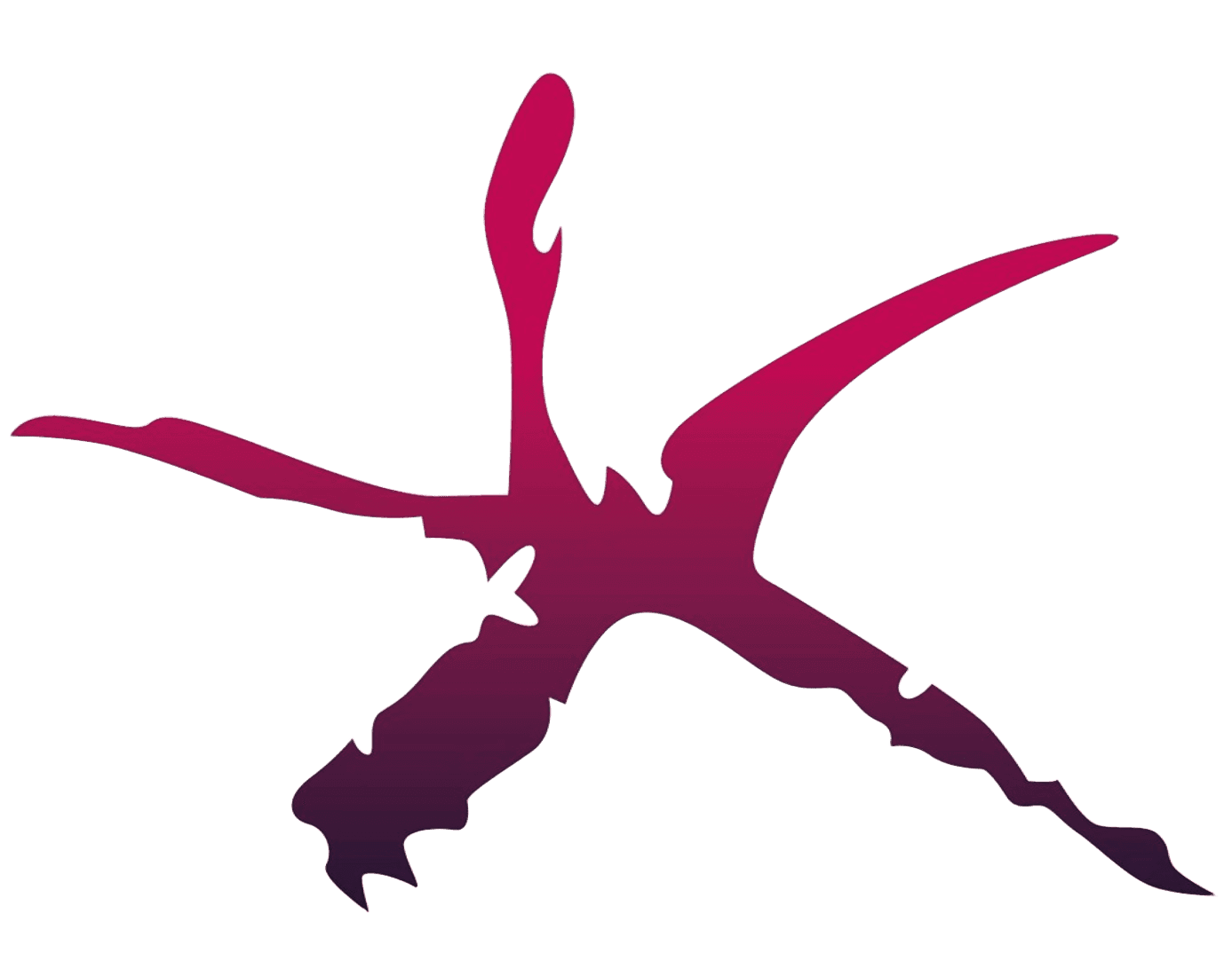 Escudo de Comarca Central